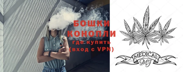 стафф Богородск