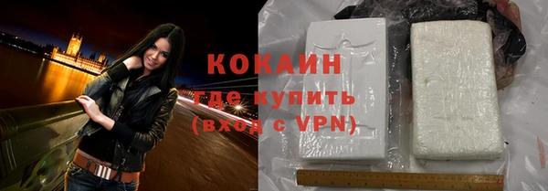 винт Гусев
