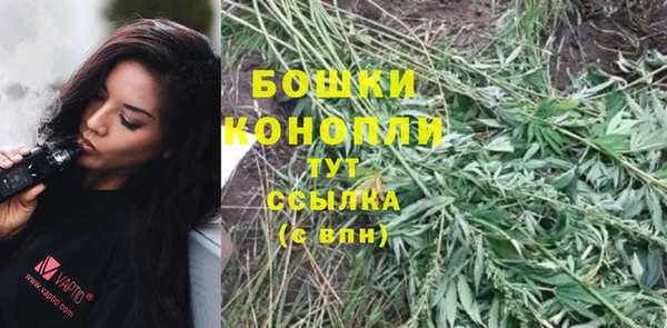 первитин Богданович