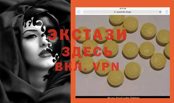 первитин Богданович