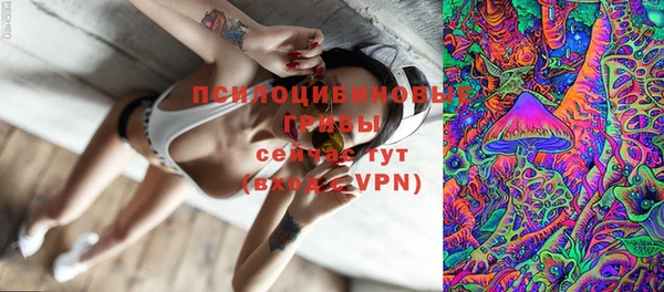 первитин Богданович