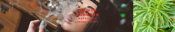 первитин Богданович