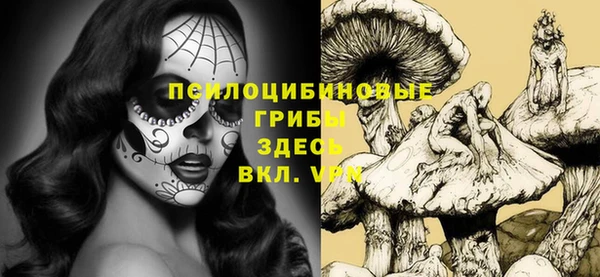 первитин Богданович