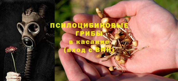 MDMA Богородицк