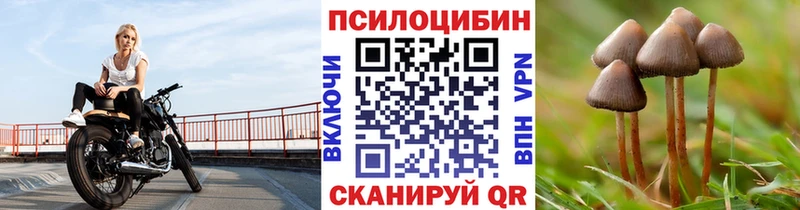 Псилоцибиновые грибы ЛСД Борисоглебск