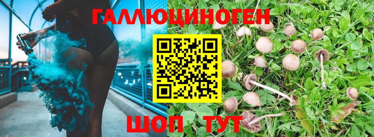 Псилоцибиновые грибы Psilocybine cubensis Борисоглебск